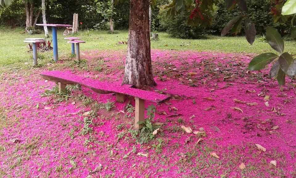 Готель Pouso Jambo Rosa Валенса Екстер'єр фото